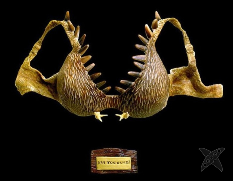 Необычное нижнее белье