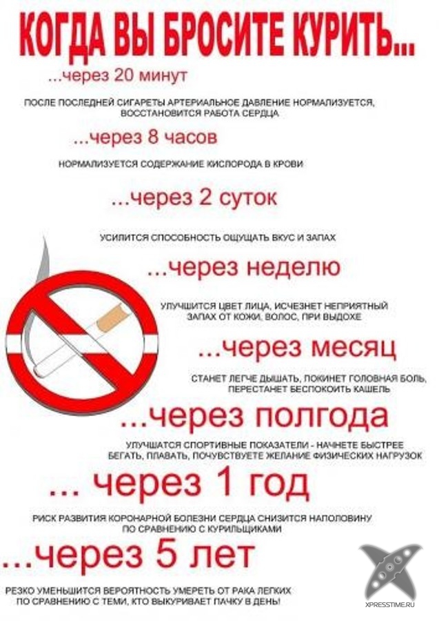 Как продлить жизнь?