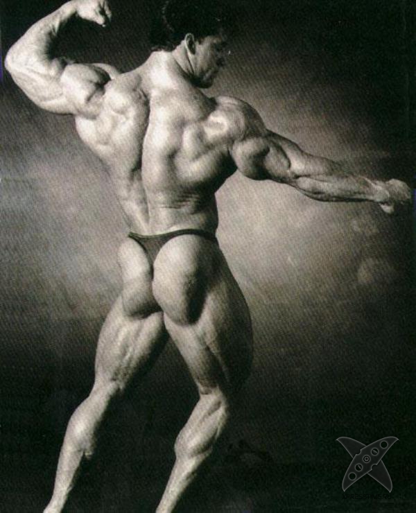 Бодибилдинг