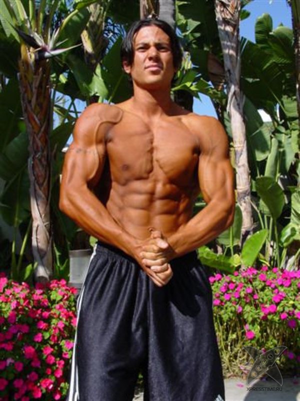 Бодибилдинг