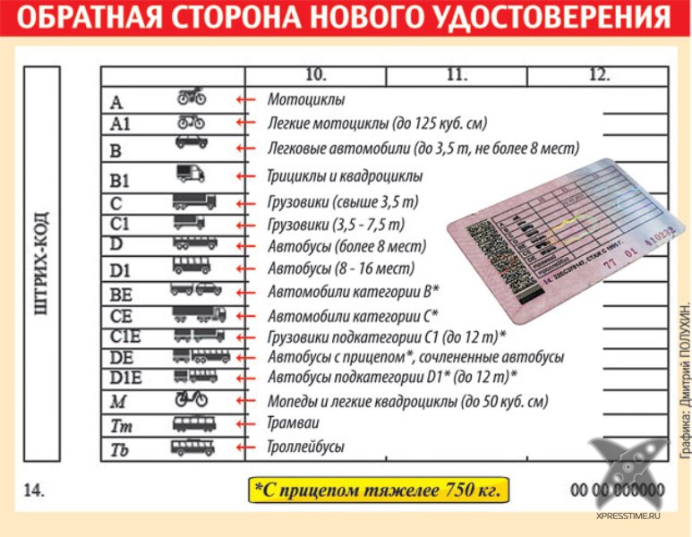 Новое водительское удостоверение