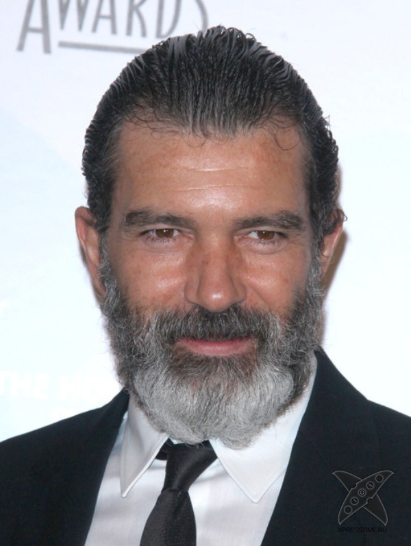 Бороды знаменитостей