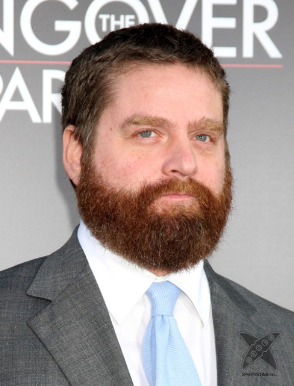 Бороды знаменитостей