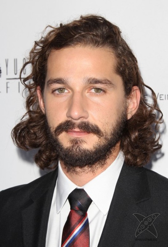 Бороды знаменитостей