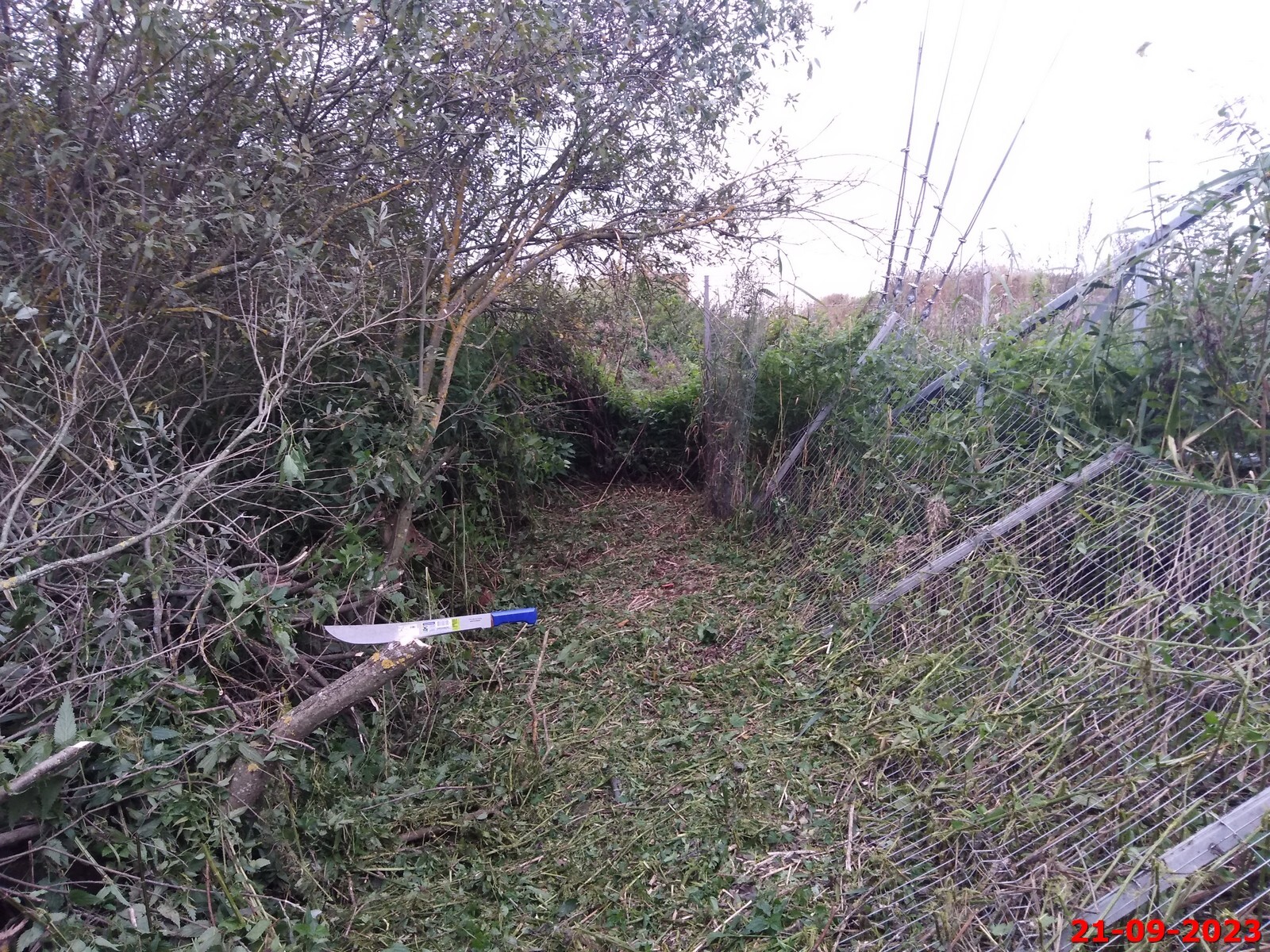 Но - мачете рулит.