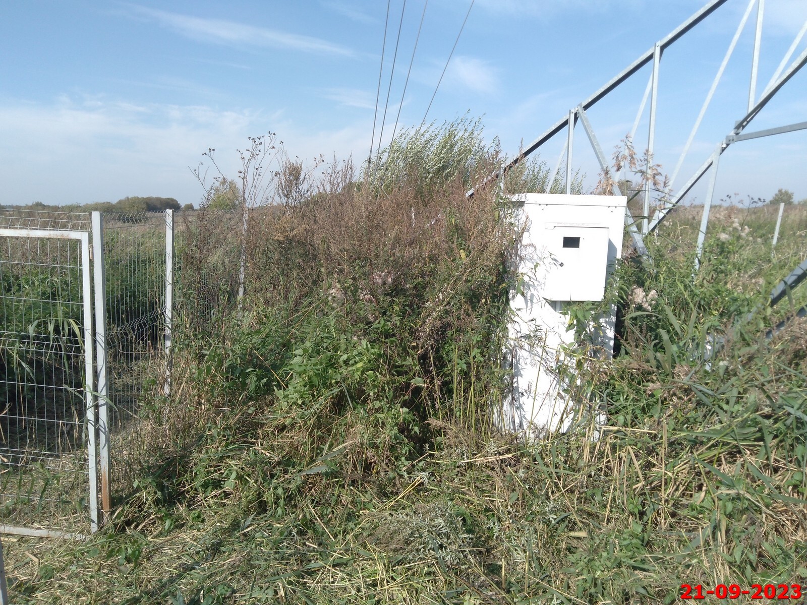 Джунгли бывают и в Подмосковье