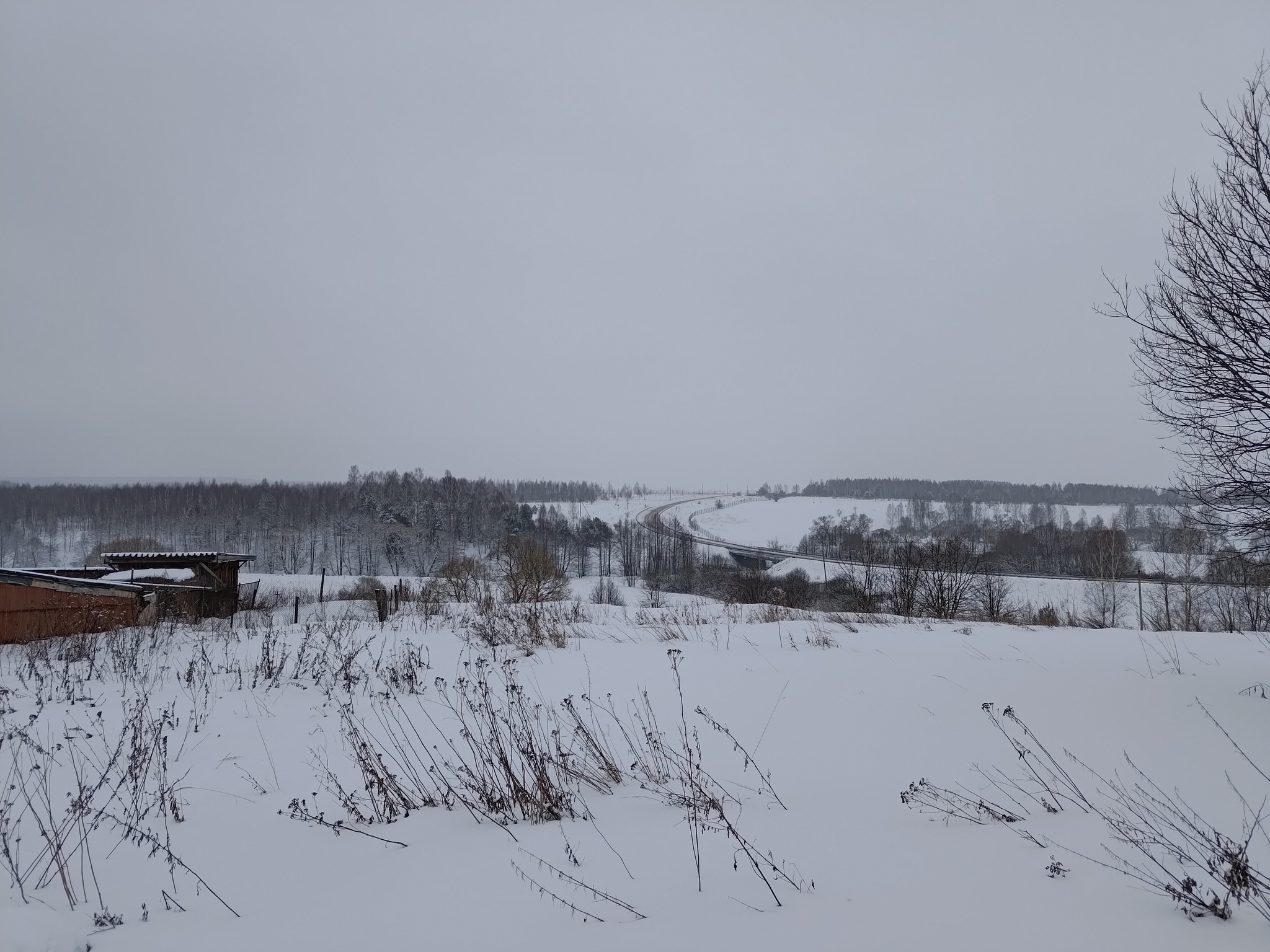 Вот такие виды около дома.