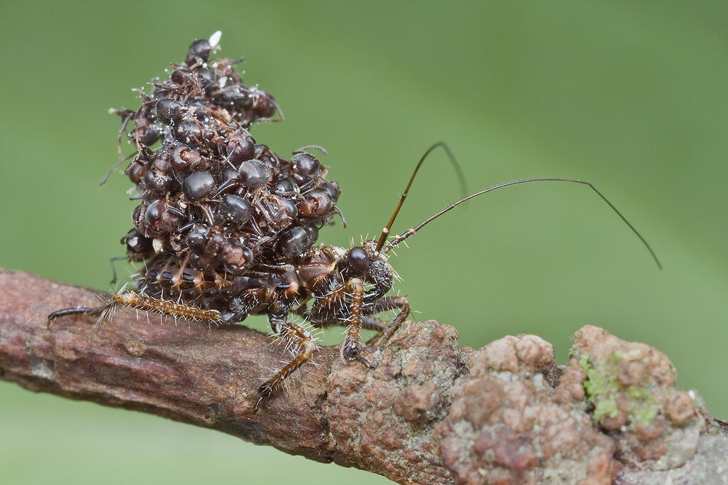 Я просто ношу все свои заслуги с собой.
