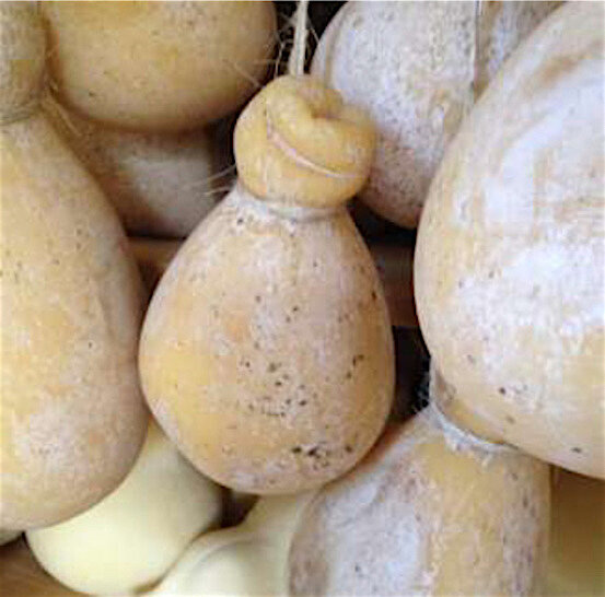 Так выглядит сегодня суффолкский сыр, подготовленный для хранения