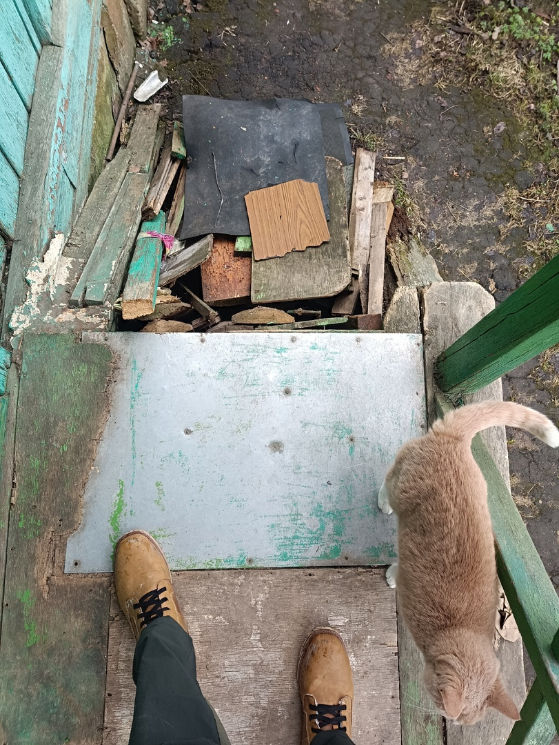 Чтобы котик не повредил себе лапки, дырка была прикрыта досками, и их надо было разобрать