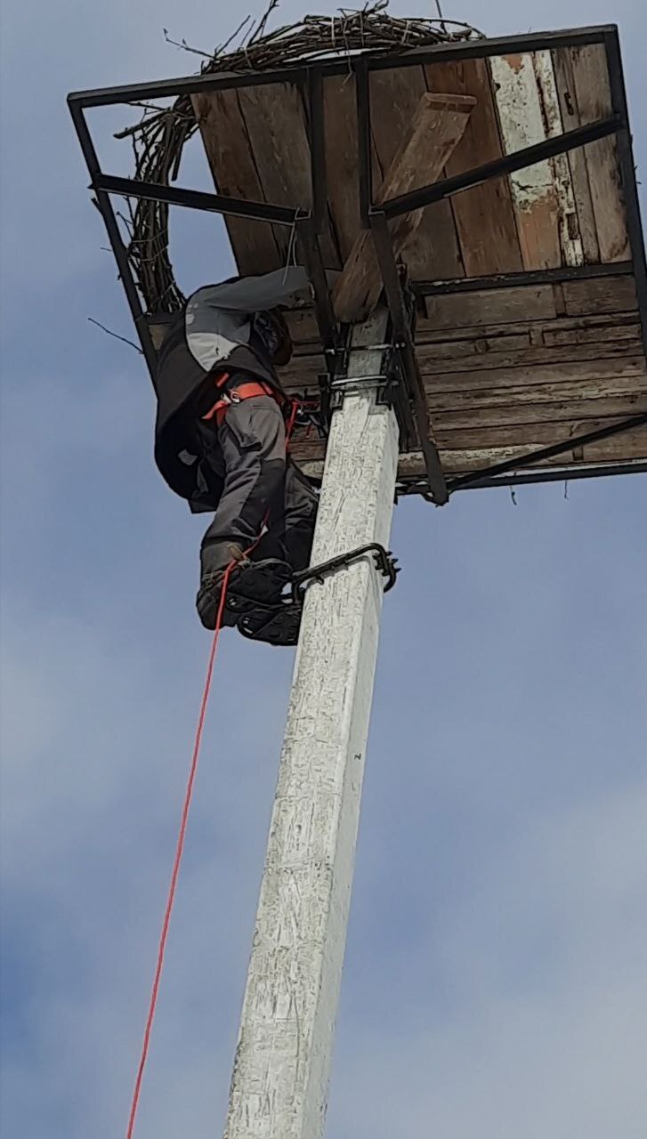 Последний штрих - добавил перегноя