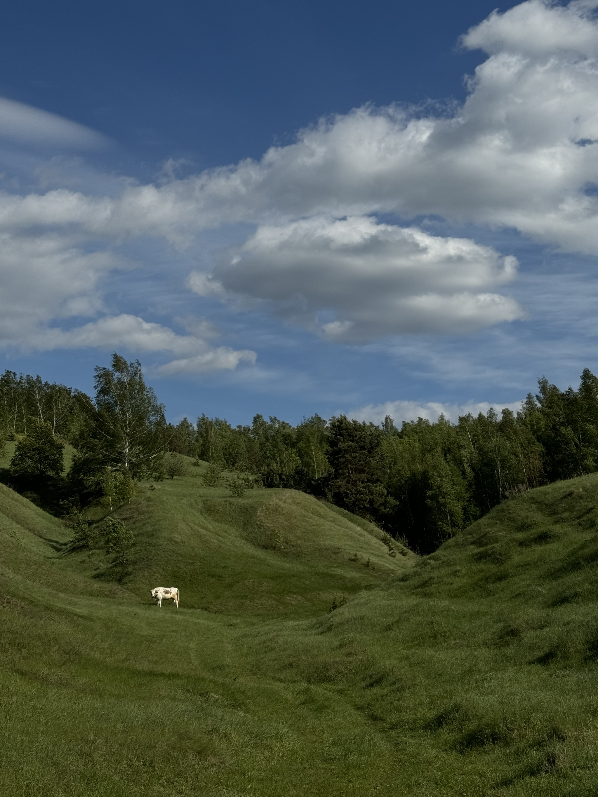 Гулял по просторам, сделал такой кадр