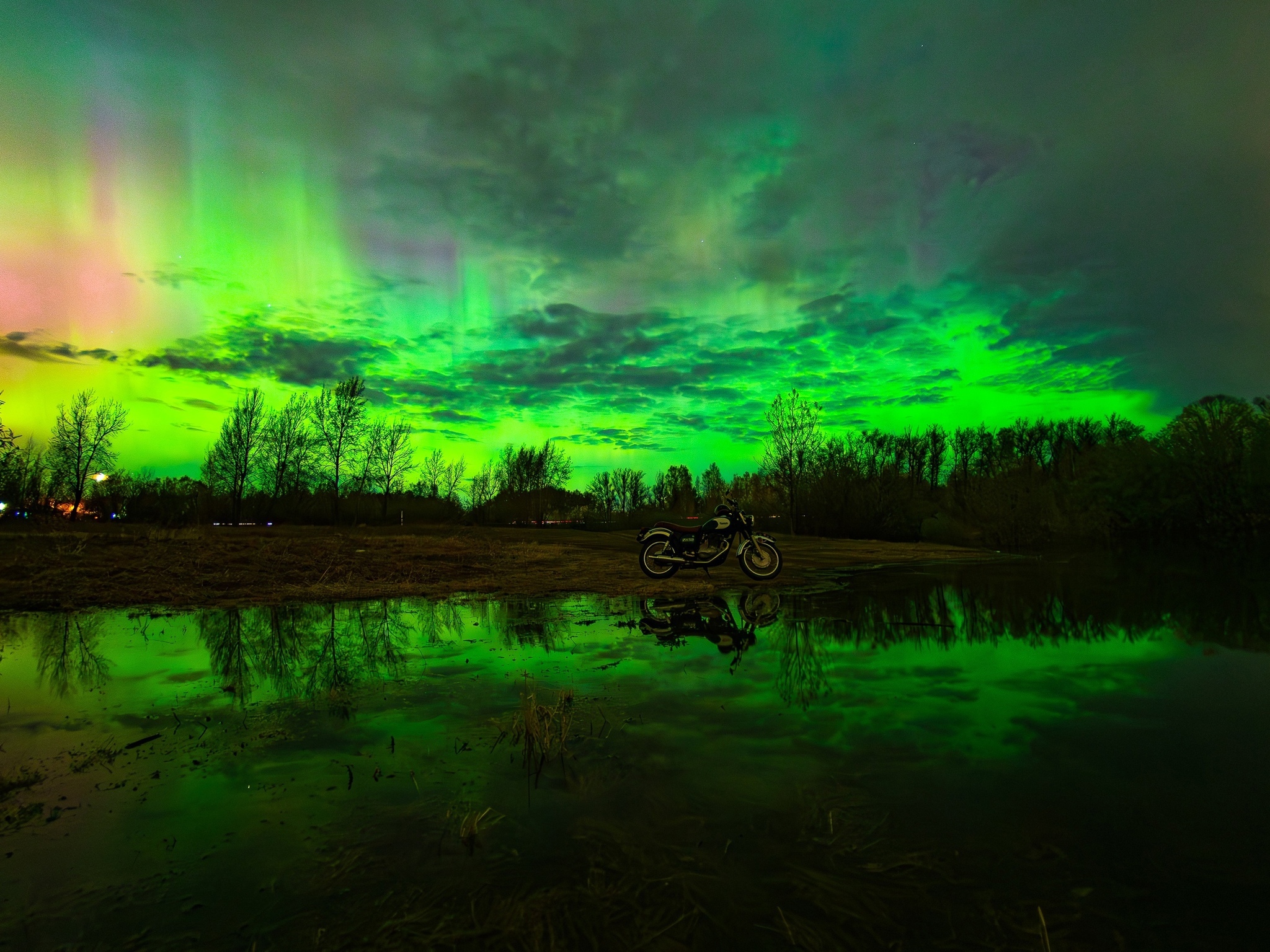 Мое радиоактивное болото