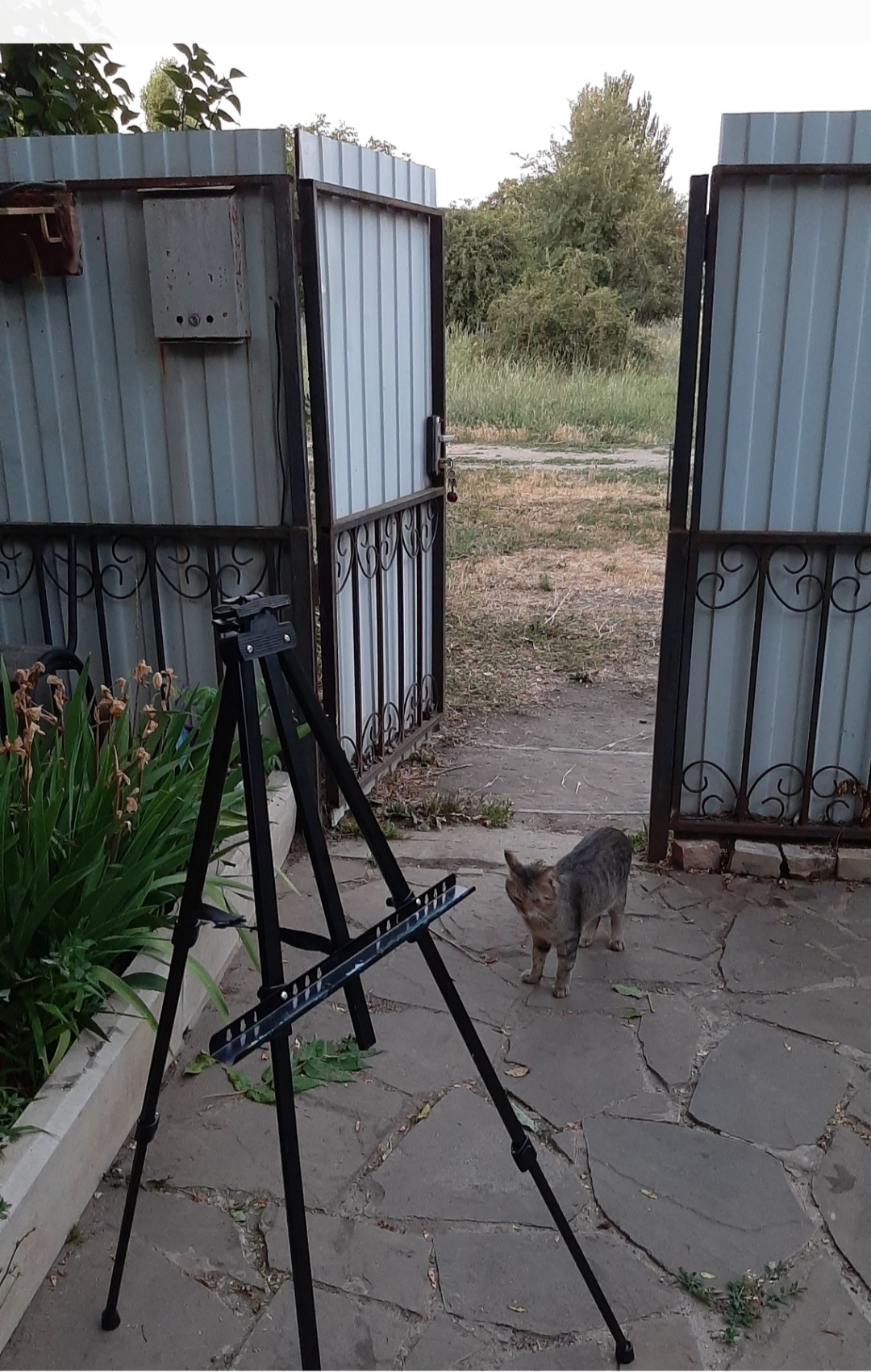 Мне кажется даже кот охренел от произошедшего