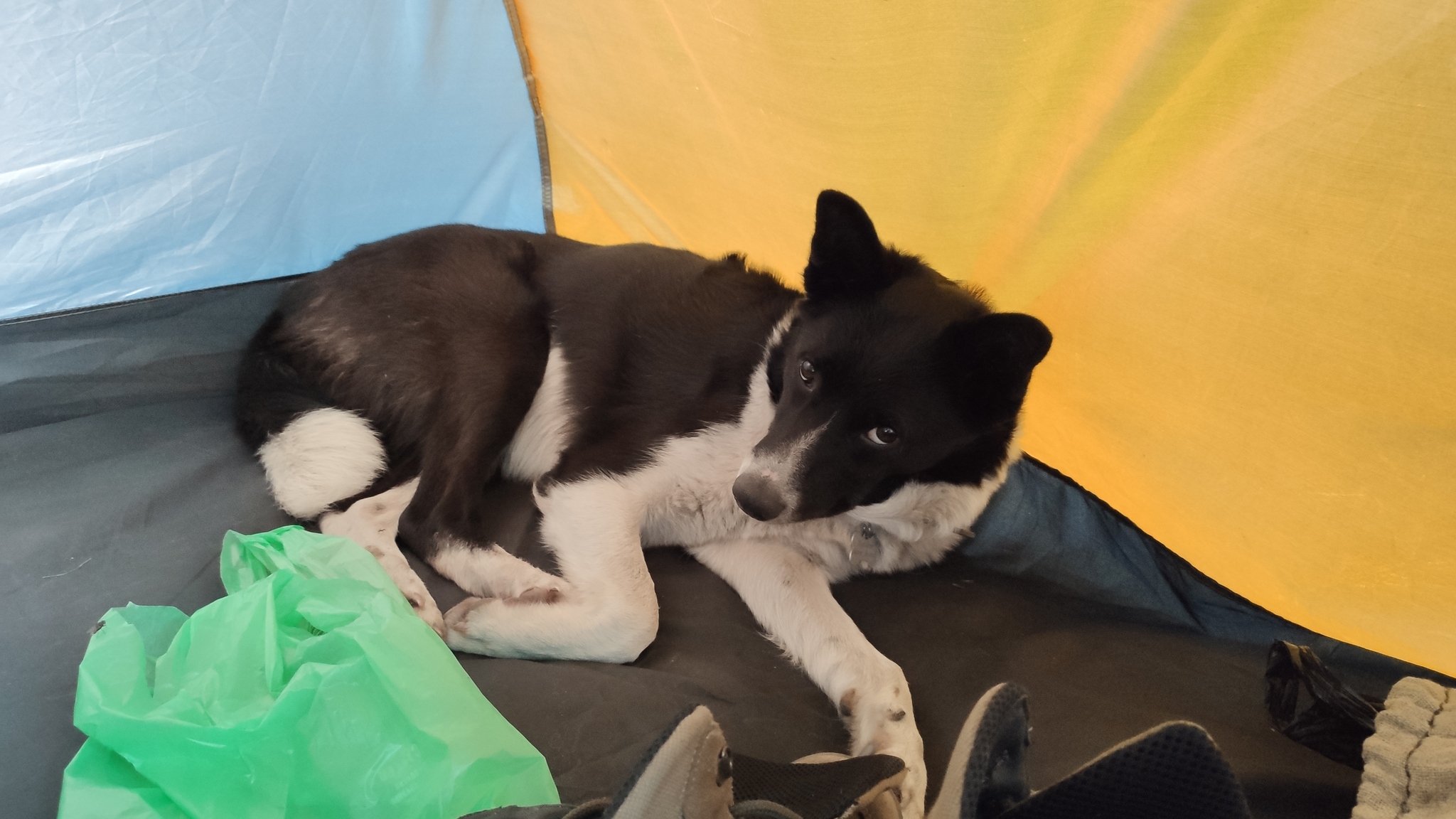 Моя дочь любимая)