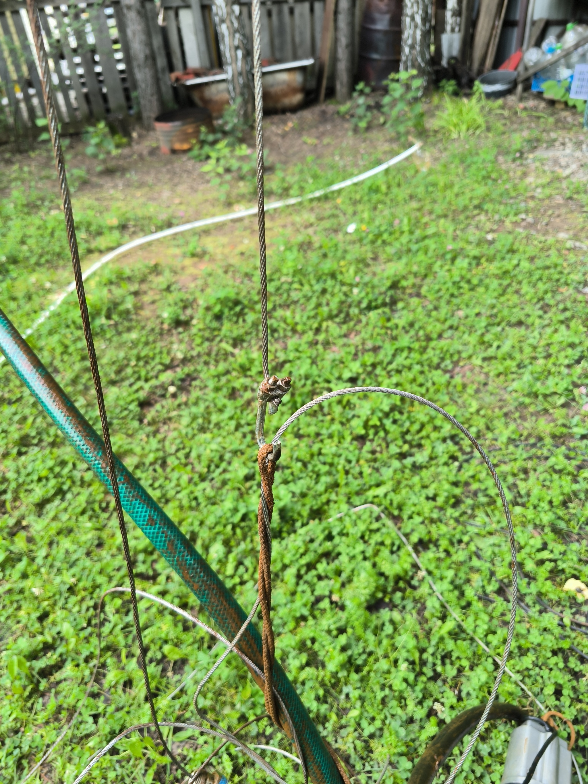 первая "рыба"