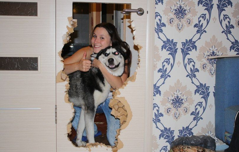 Как приятно, когда хозяйка по достоинству оценивает твои дизайнерские решения!