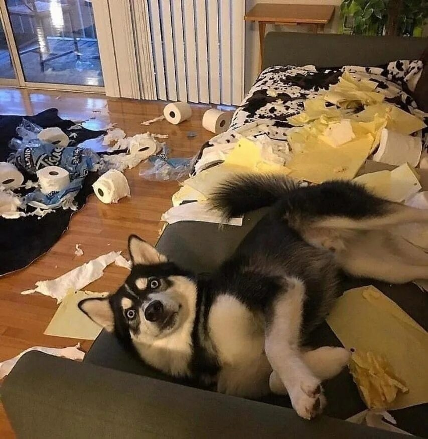 Чего ты на меня смотришь? Я просто бумагу расфасовывал по-правильному, пока тебя не было!