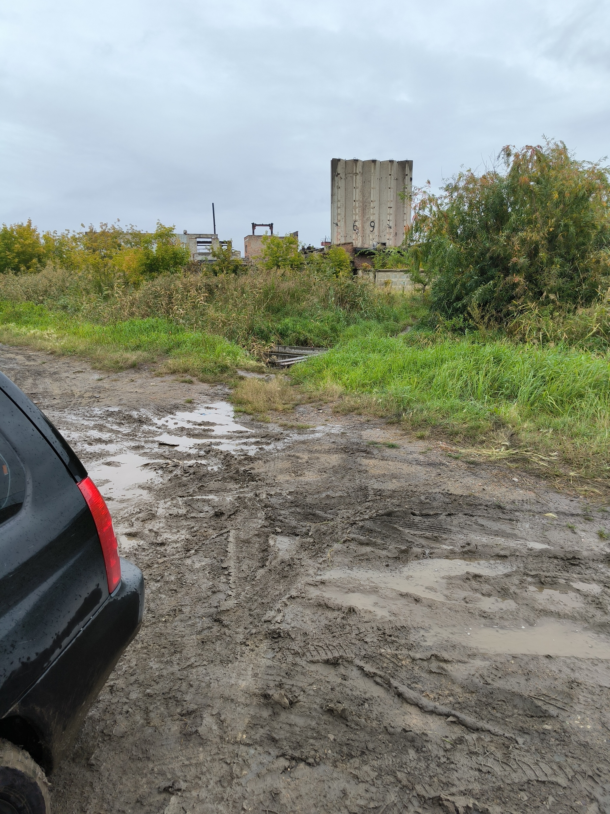 А там мне по башке никто не даст, спросил. Да не должны, ответил.