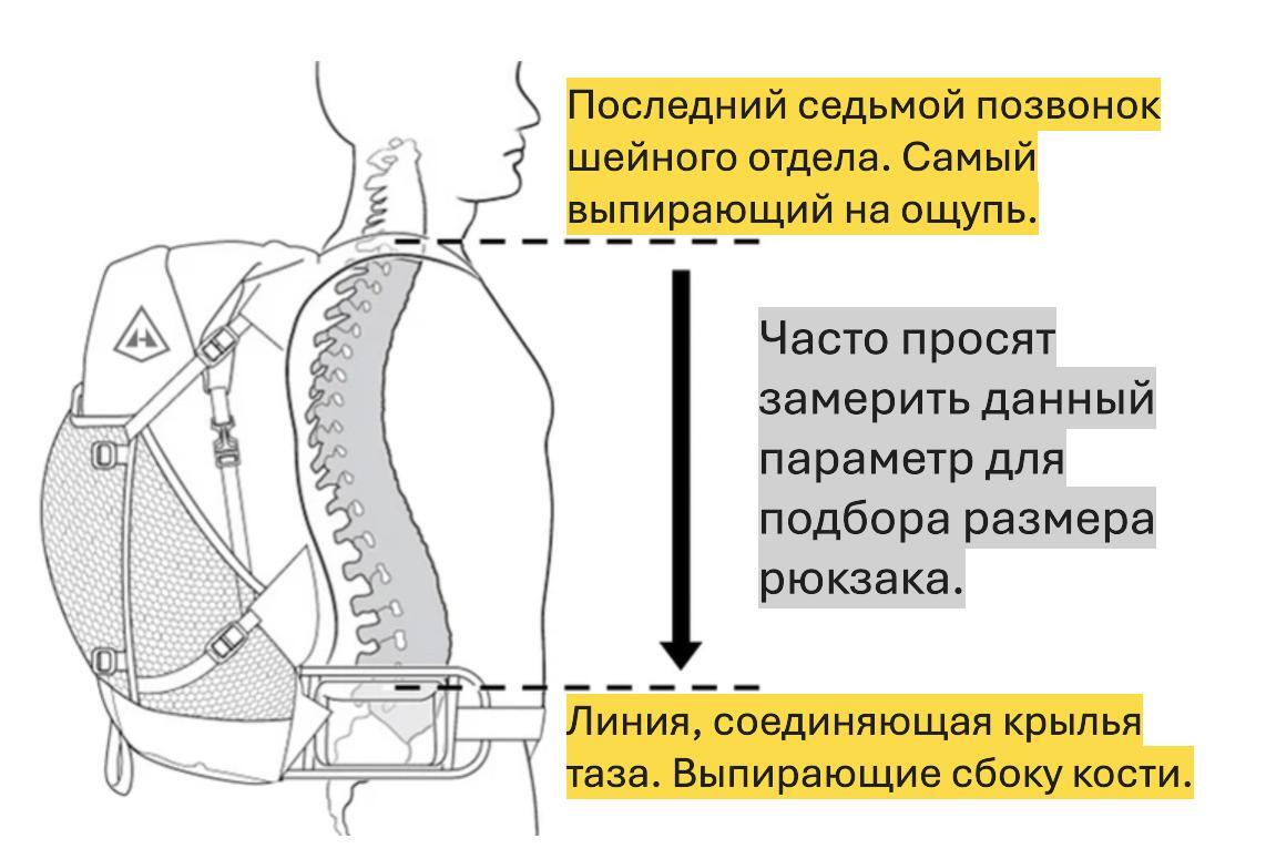 Пояс мерить можно в обхват, а вот как замерять длину спины, не все в курсе.