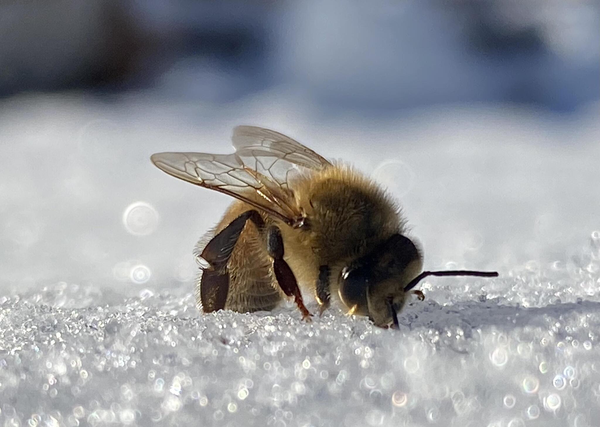 Господи боже, я не так планировал отпуск!