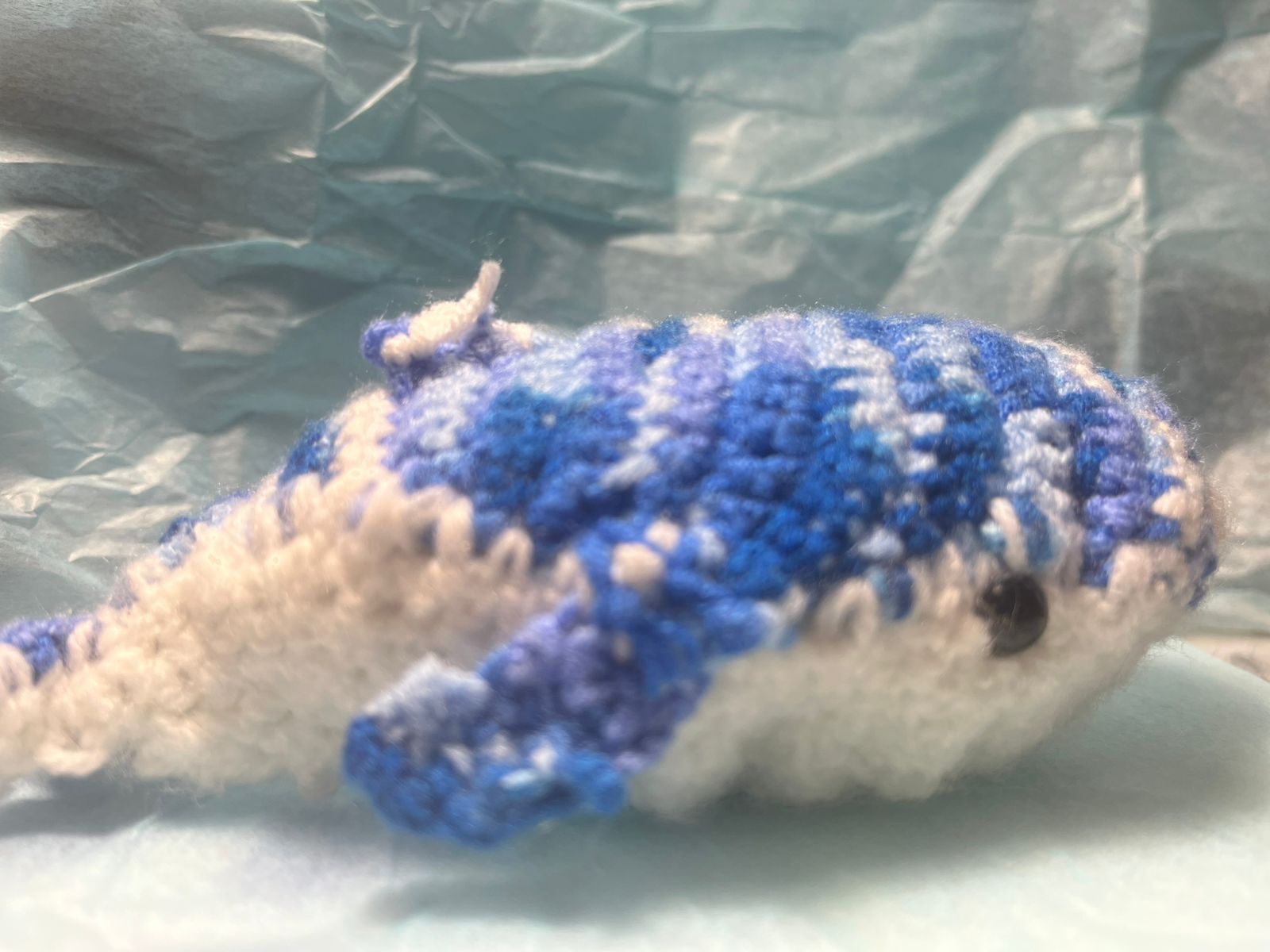 Очень милый камера не может нормально сфоткать