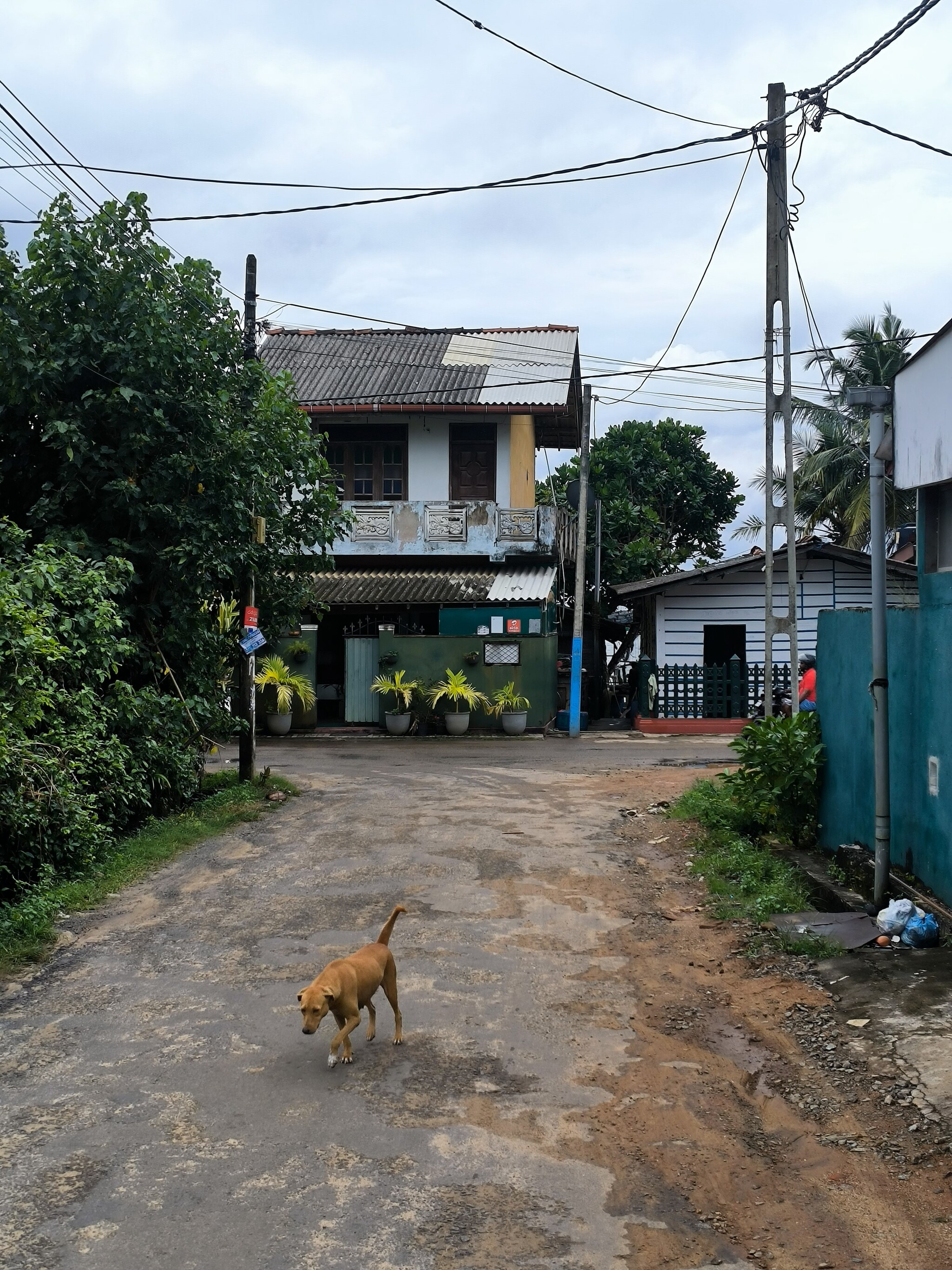 некоторые домики подушатаны, некоторые свежи и красивы, но общее впечатление очень хорошее, ощущения разрухи, вообще, нет