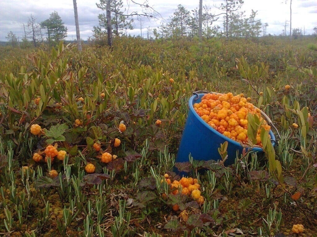 Фото из инета