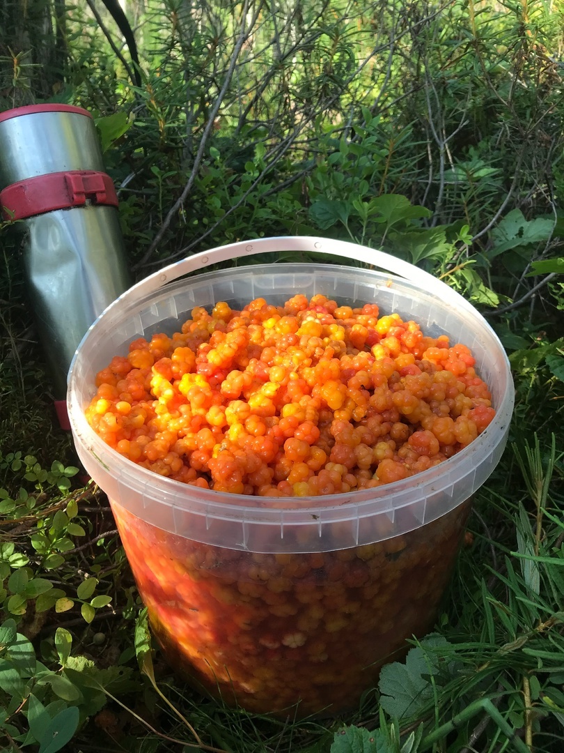 Ведро 12 литров