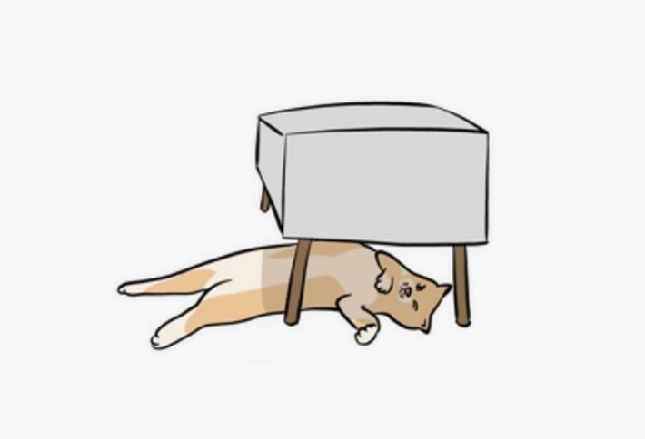 А может кошачья жизнь?