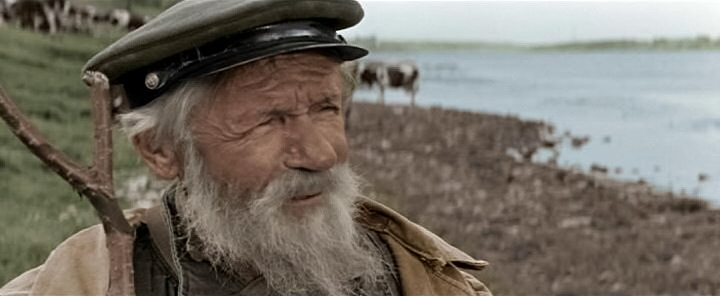 Кадр из фильма "Три тополя на Плющихе" (1967)