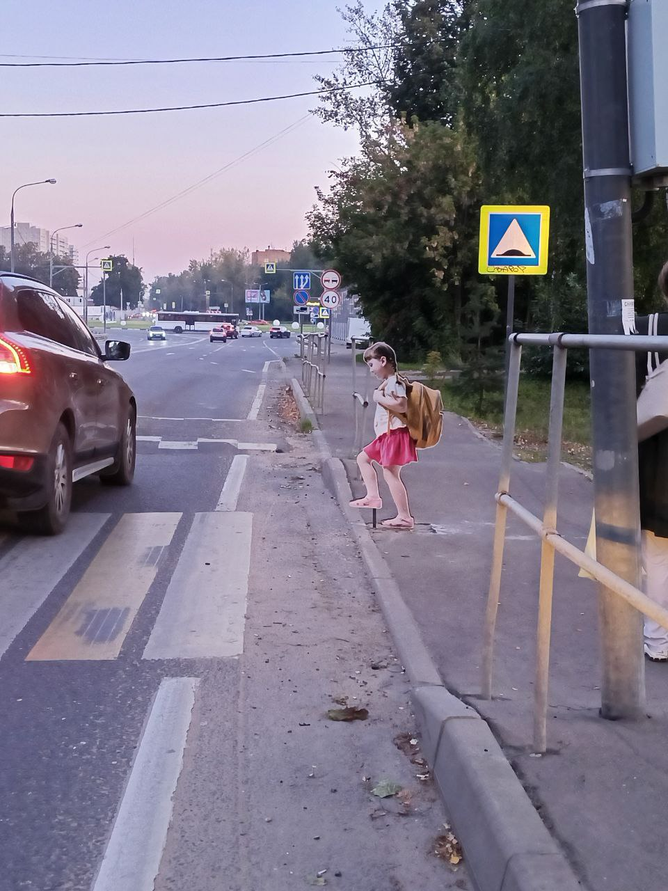 Такие инсталляции появились на нескольких переходах в городе Пушкино (Московская область)