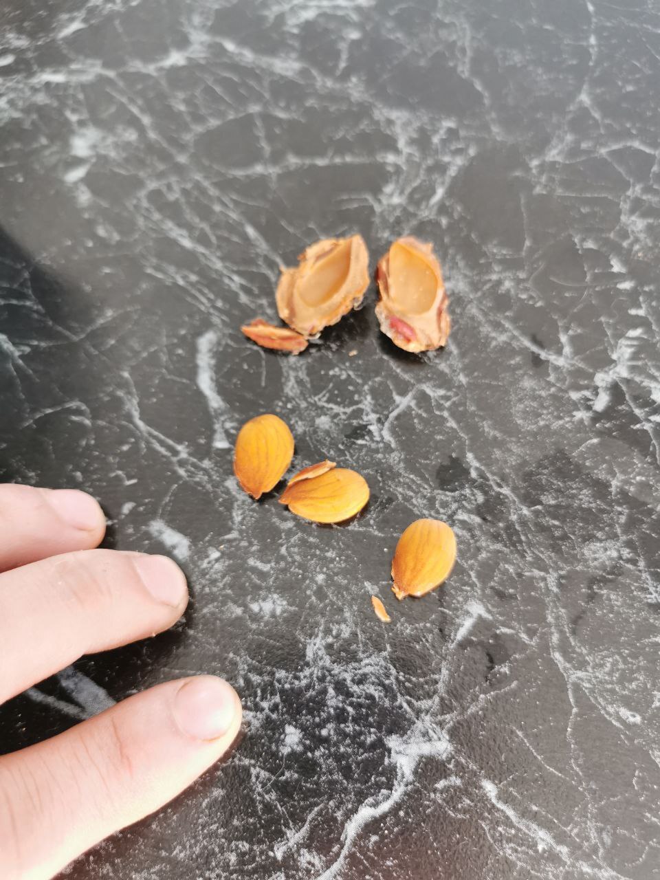 Вот они - три добровольца.