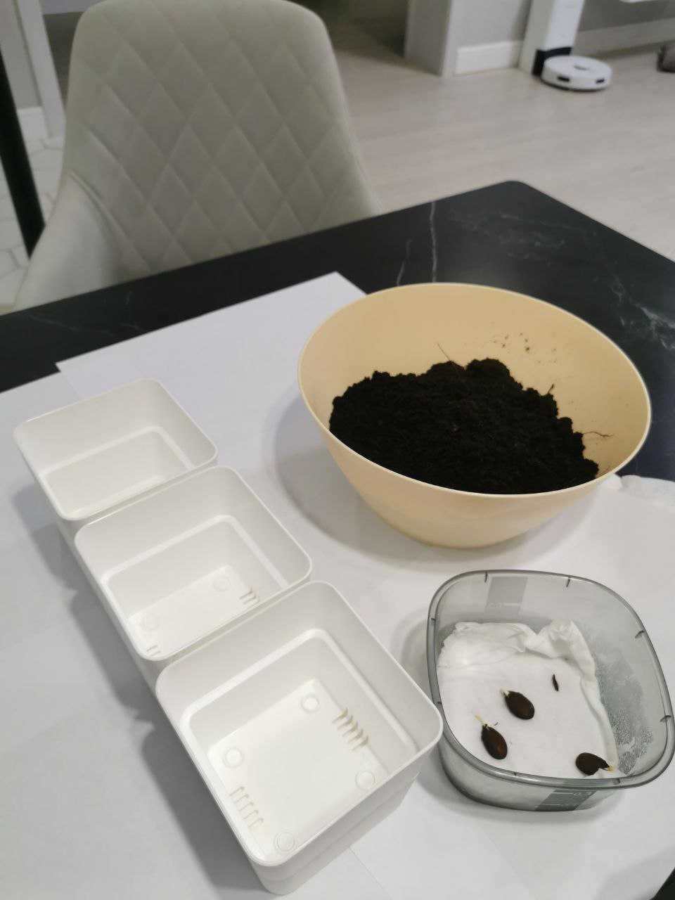 Всё готово к соитию - земля, вода и семена.