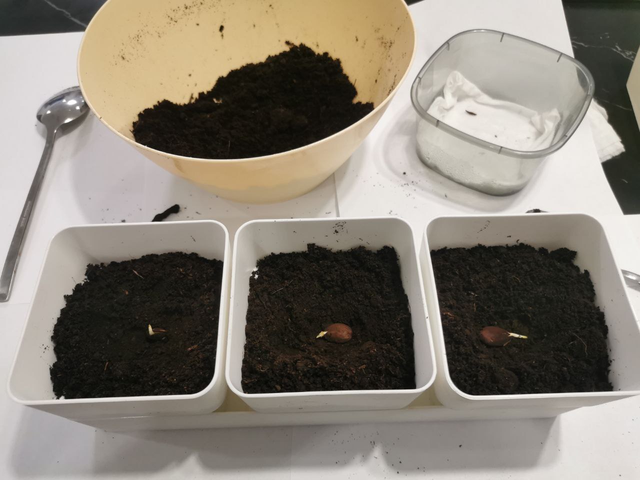 Очередное позирование для фото.