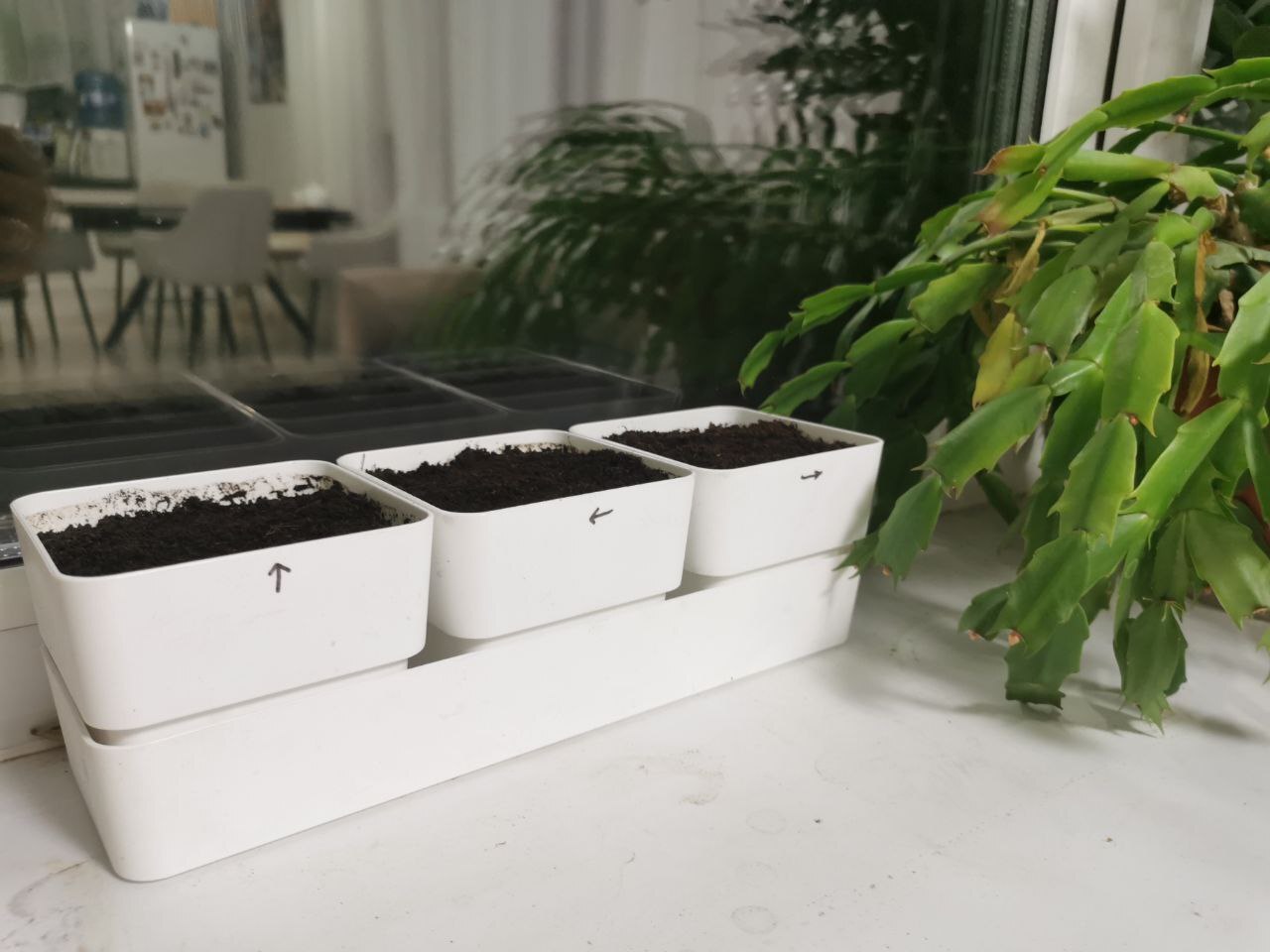 Записываем, записываем. Комбо на супер удар!