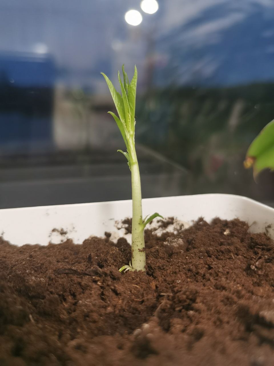 Погнал просто. 23 ноября