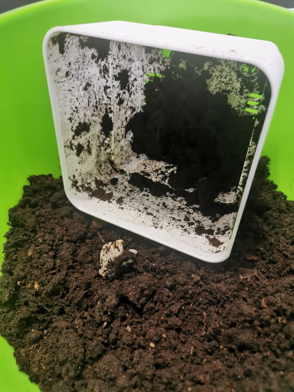 Press F to pay respects