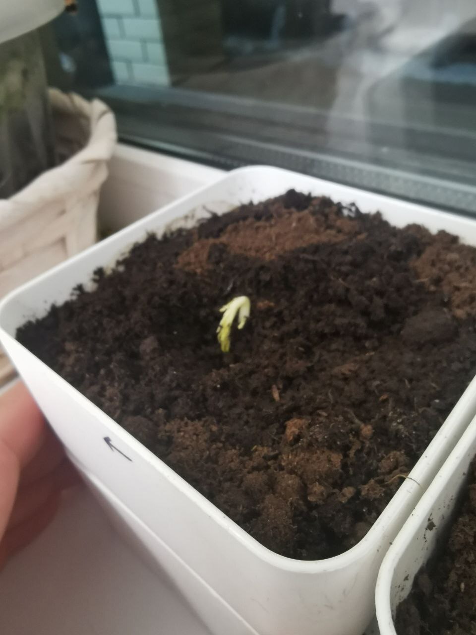 Обнял на прощание перед отпуском