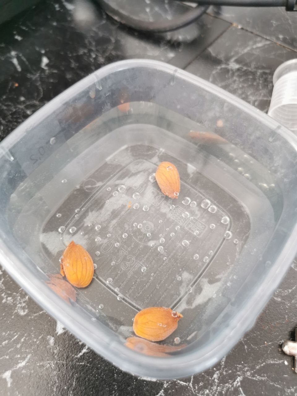 Малыши пускают пузыри