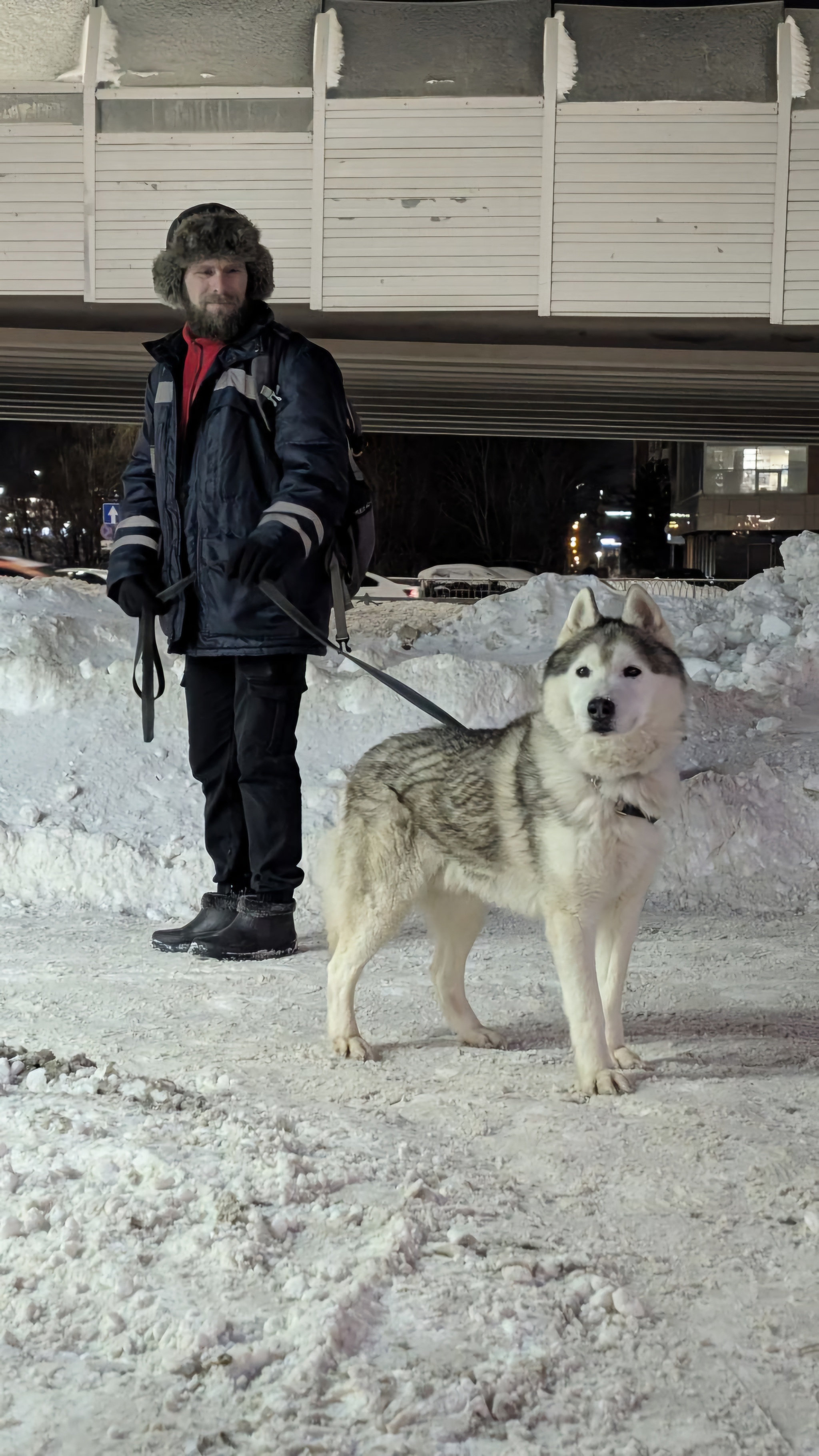 Смотрит как уходит добрая тётя.😊