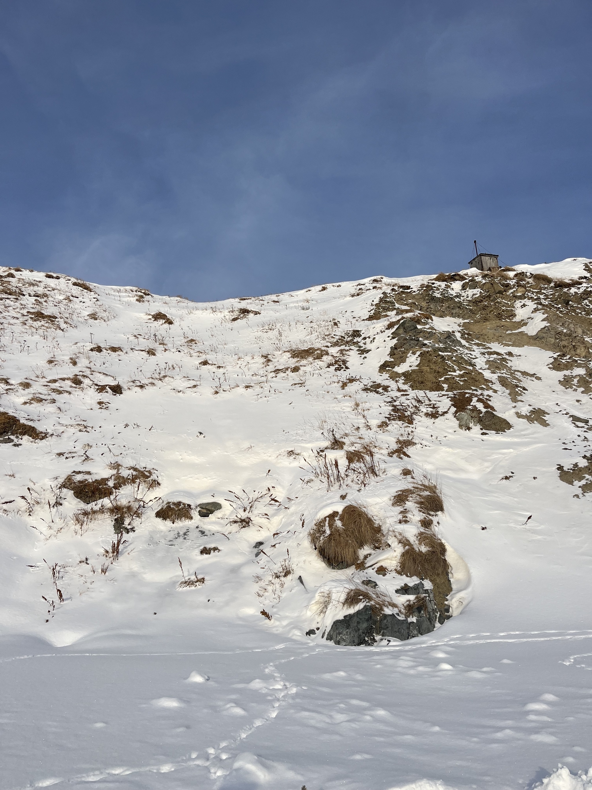 Тут где-то нужно было откопать шланг