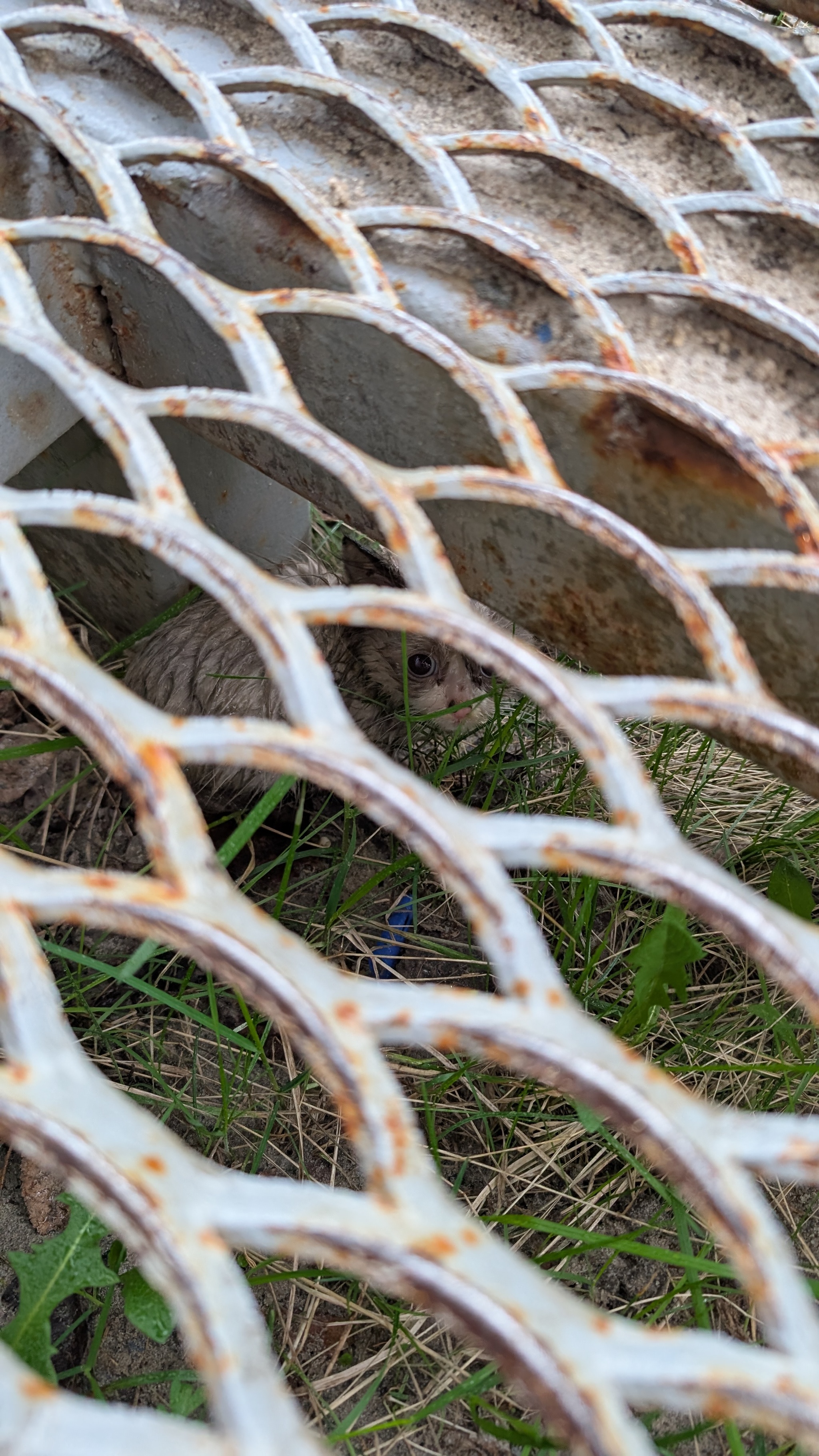 Первая встреча