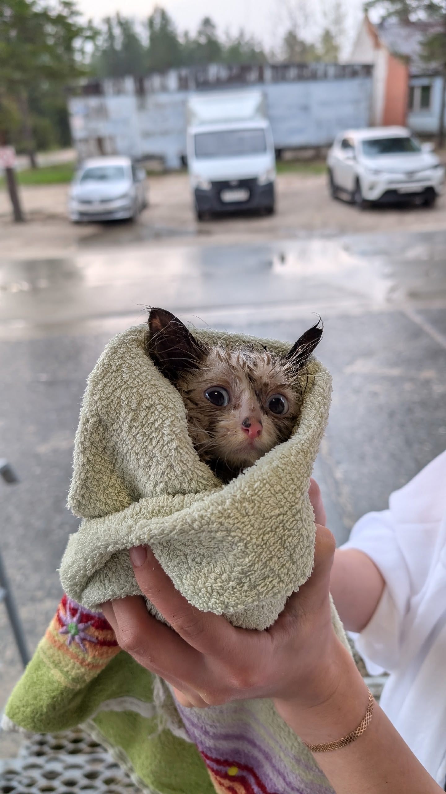 Целый час доставали из-под крыльца