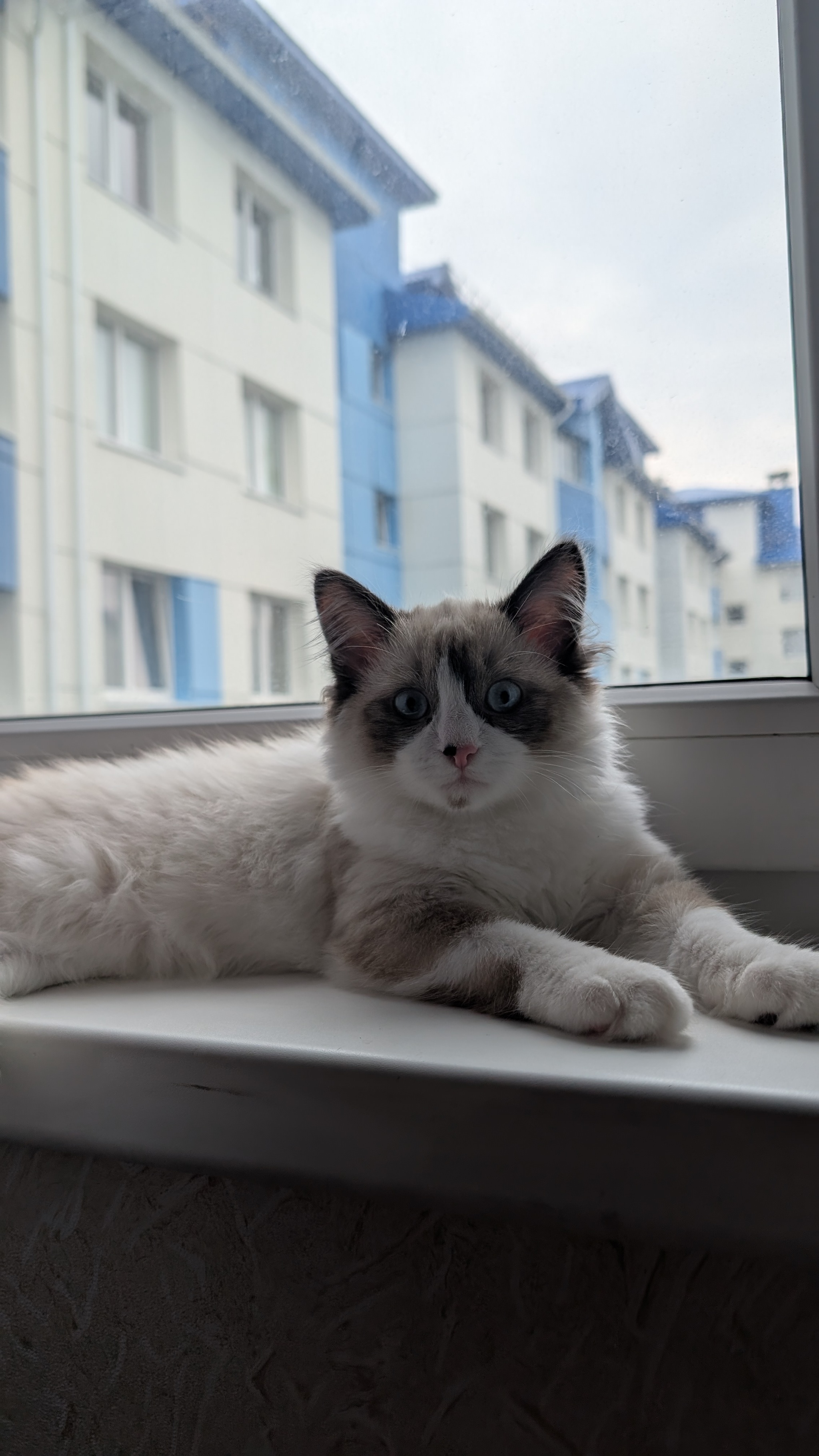 Рос, осень 2025 года