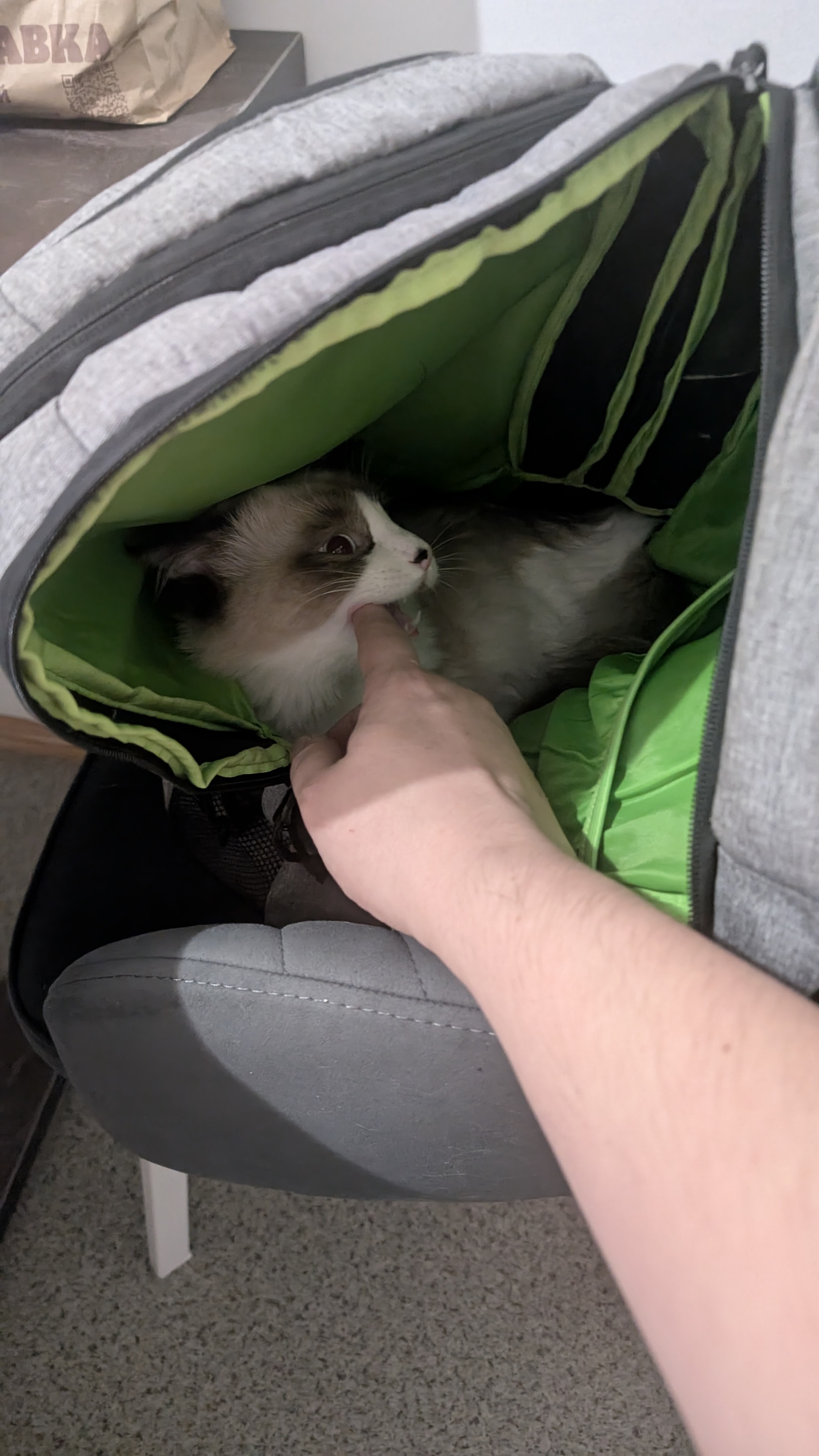 Зима 2025 года, всё ещё дурной