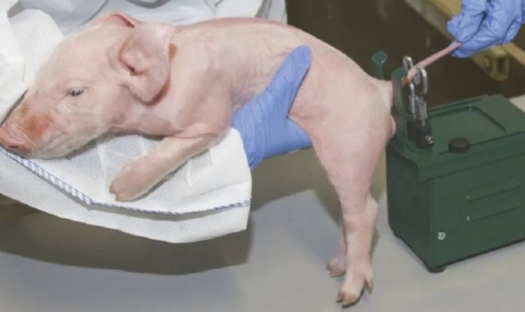 Сейчас будет сильно бо-бо...