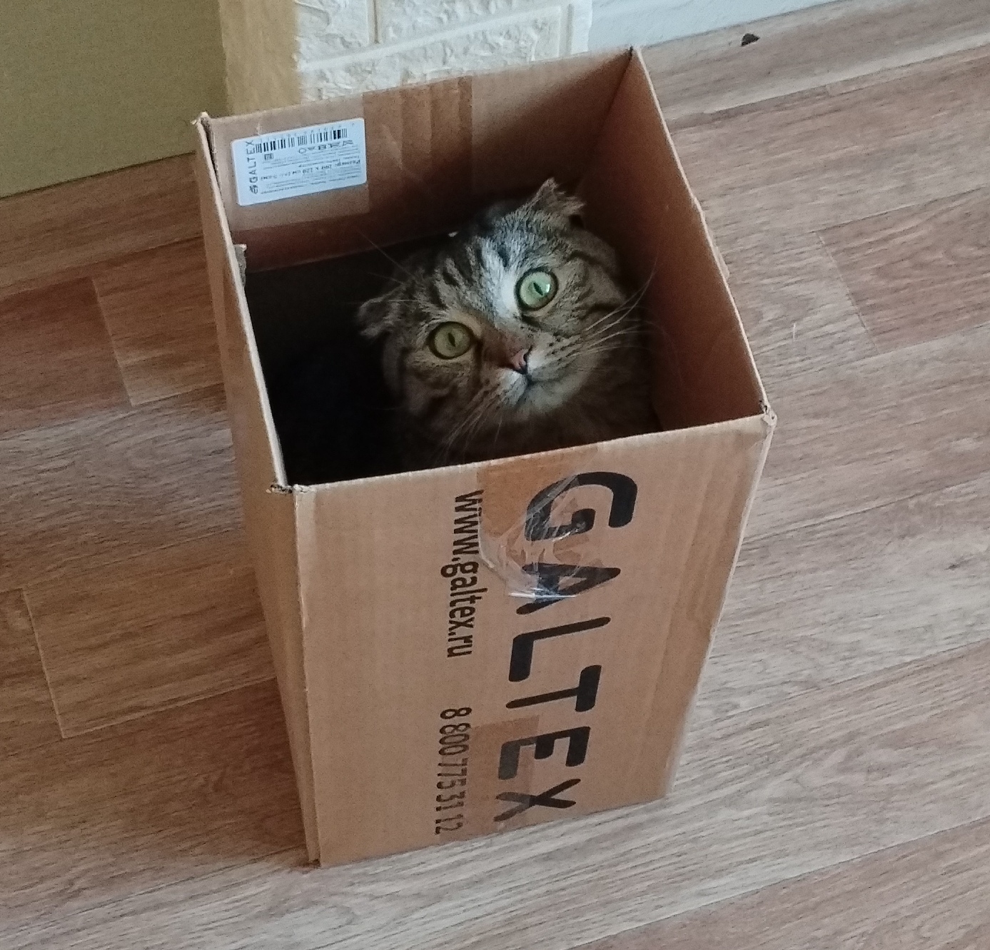 Мы не скелетоны с Семёном(и навряд ли станем, на свинине-то), но можем выложить и ещё несколько неприятных фактов. Это факт.