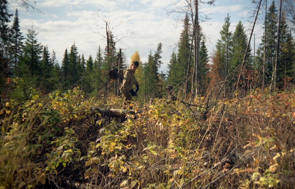 Малинник - очень противное место! Хоть и вкусное )))