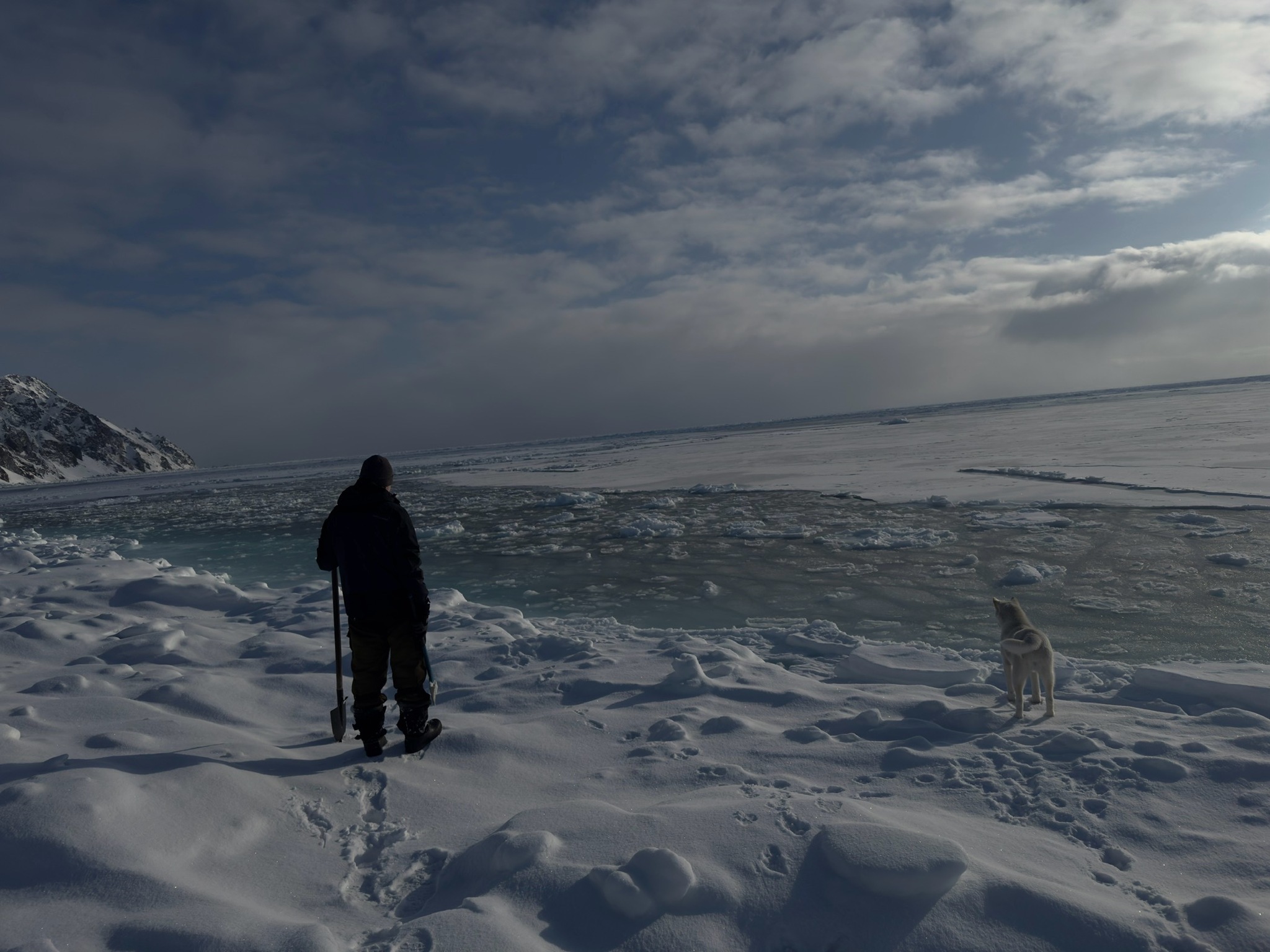 По дороге к ручью
